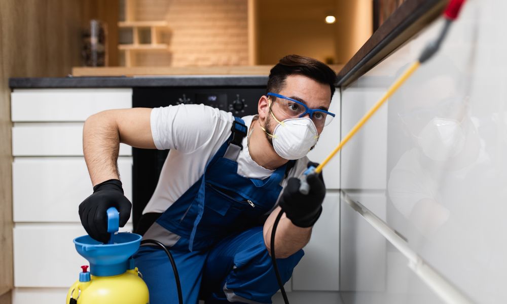Schädlingsbekämpfung für Wohnungen, Häuser und Gewerbe